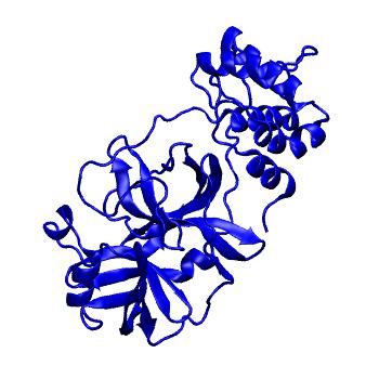 Structure preview of Folding@home molecular dynamics simulations of Diamond Light Source / XChem X-ray structures of small molecule inhibitors of the SARS-CoV-2 main protease from the COVID Moonshot; project 13432, run 230