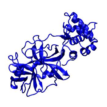 Structure preview of Folding@home molecular dynamics simulations of Diamond Light Source / XChem X-ray structures of small molecule inhibitors of the SARS-CoV-2 main protease from the COVID Moonshot; project 13432, run 231