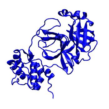 Structure preview of Folding@home molecular dynamics simulations of Diamond Light Source / XChem X-ray structures of small molecule inhibitors of the SARS-CoV-2 main protease from the COVID Moonshot; project 13432, run 232