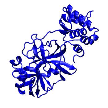 Structure preview of Folding@home molecular dynamics simulations of Diamond Light Source / XChem X-ray structures of small molecule inhibitors of the SARS-CoV-2 main protease from the COVID Moonshot; project 13432, run 236