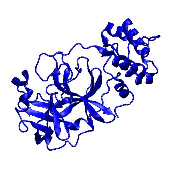 Structure preview of Folding@home molecular dynamics simulations of Diamond Light Source / XChem X-ray structures of small molecule inhibitors of the SARS-CoV-2 main protease from the COVID Moonshot; project 13432, run 240
