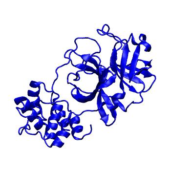 Structure preview of Folding@home molecular dynamics simulations of Diamond Light Source / XChem X-ray structures of small molecule inhibitors of the SARS-CoV-2 main protease from the COVID Moonshot; project 13432, run 243