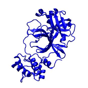 Structure preview of Folding@home molecular dynamics simulations of Diamond Light Source / XChem X-ray structures of small molecule inhibitors of the SARS-CoV-2 main protease from the COVID Moonshot; project 13432, run 244