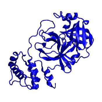 Structure preview of Folding@home molecular dynamics simulations of Diamond Light Source / XChem X-ray structures of small molecule inhibitors of the SARS-CoV-2 main protease from the COVID Moonshot; project 13432, run 245