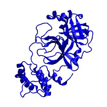 Structure preview of Folding@home molecular dynamics simulations of Diamond Light Source / XChem X-ray structures of small molecule inhibitors of the SARS-CoV-2 main protease from the COVID Moonshot; project 13432, run 248