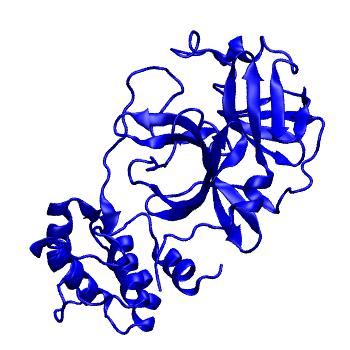 Structure preview of Folding@home molecular dynamics simulations of Diamond Light Source / XChem X-ray structures of small molecule inhibitors of the SARS-CoV-2 main protease from the COVID Moonshot; project 13432, run 249