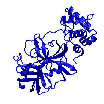 Structure preview of Folding@home molecular dynamics simulations of Diamond Light Source / XChem X-ray structures of small molecule inhibitors of the SARS-CoV-2 main protease from the COVID Moonshot; project 13432, run 24