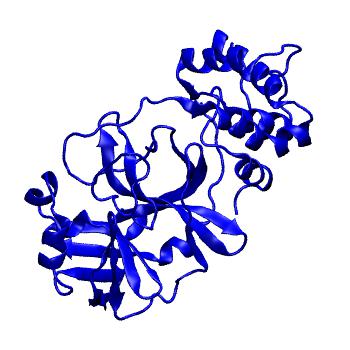 Structure preview of Folding@home molecular dynamics simulations of Diamond Light Source / XChem X-ray structures of small molecule inhibitors of the SARS-CoV-2 main protease from the COVID Moonshot; project 13432, run 252