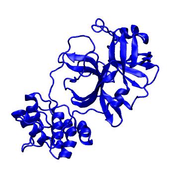 Structure preview of Folding@home molecular dynamics simulations of Diamond Light Source / XChem X-ray structures of small molecule inhibitors of the SARS-CoV-2 main protease from the COVID Moonshot; project 13432, run 253