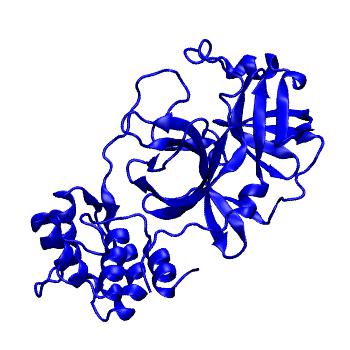 Structure preview of Folding@home molecular dynamics simulations of Diamond Light Source / XChem X-ray structures of small molecule inhibitors of the SARS-CoV-2 main protease from the COVID Moonshot; project 13432, run 257