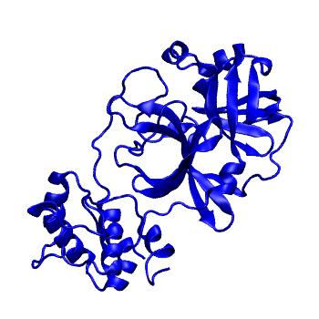 Structure preview of Folding@home molecular dynamics simulations of Diamond Light Source / XChem X-ray structures of small molecule inhibitors of the SARS-CoV-2 main protease from the COVID Moonshot; project 13432, run 258
