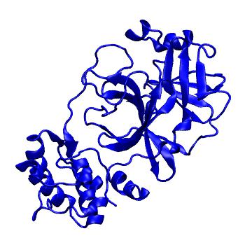 Structure preview of Folding@home molecular dynamics simulations of Diamond Light Source / XChem X-ray structures of small molecule inhibitors of the SARS-CoV-2 main protease from the COVID Moonshot; project 13432, run 261