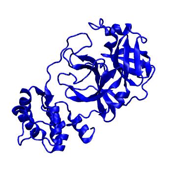 Structure preview of Folding@home molecular dynamics simulations of Diamond Light Source / XChem X-ray structures of small molecule inhibitors of the SARS-CoV-2 main protease from the COVID Moonshot; project 13432, run 262