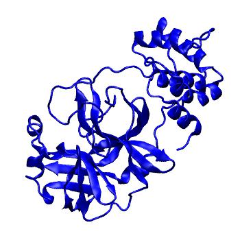 Structure preview of Folding@home molecular dynamics simulations of Diamond Light Source / XChem X-ray structures of small molecule inhibitors of the SARS-CoV-2 main protease from the COVID Moonshot; project 13432, run 263