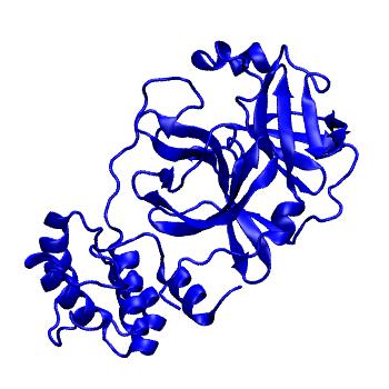 Structure preview of Folding@home molecular dynamics simulations of Diamond Light Source / XChem X-ray structures of small molecule inhibitors of the SARS-CoV-2 main protease from the COVID Moonshot; project 13432, run 264