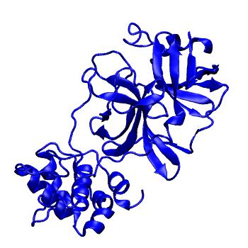 Structure preview of Folding@home molecular dynamics simulations of Diamond Light Source / XChem X-ray structures of small molecule inhibitors of the SARS-CoV-2 main protease from the COVID Moonshot; project 13432, run 267