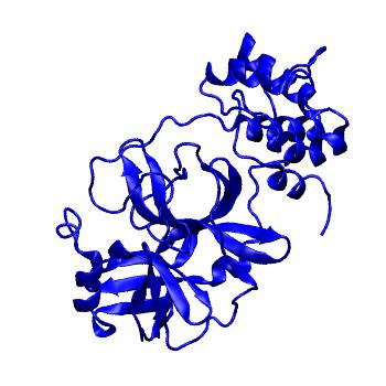 Structure preview of Folding@home molecular dynamics simulations of Diamond Light Source / XChem X-ray structures of small molecule inhibitors of the SARS-CoV-2 main protease from the COVID Moonshot; project 13432, run 269