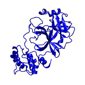 Structure preview of Folding@home molecular dynamics simulations of Diamond Light Source / XChem X-ray structures of small molecule inhibitors of the SARS-CoV-2 main protease from the COVID Moonshot; project 13432, run 26