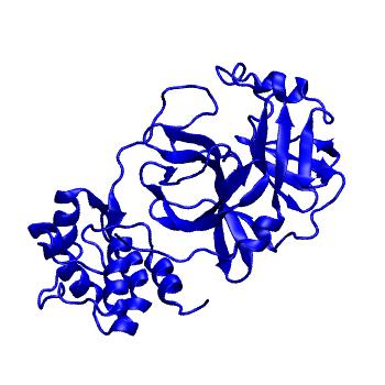 Structure preview of Folding@home molecular dynamics simulations of Diamond Light Source / XChem X-ray structures of small molecule inhibitors of the SARS-CoV-2 main protease from the COVID Moonshot; project 13432, run 293