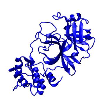 Structure preview of Folding@home molecular dynamics simulations of Diamond Light Source / XChem X-ray structures of small molecule inhibitors of the SARS-CoV-2 main protease from the COVID Moonshot; project 13432, run 297