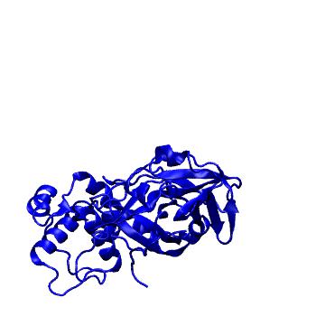 Structure preview of Folding@home molecular dynamics simulations of Diamond Light Source / XChem X-ray structures of small molecule inhibitors of the SARS-CoV-2 main protease from the COVID Moonshot; project 13432, run 2