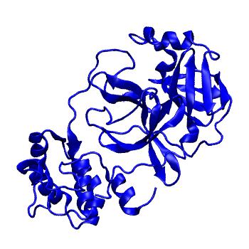 Structure preview of Folding@home molecular dynamics simulations of Diamond Light Source / XChem X-ray structures of small molecule inhibitors of the SARS-CoV-2 main protease from the COVID Moonshot; project 13432, run 300