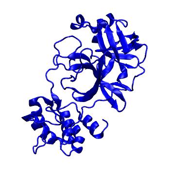 Structure preview of Folding@home molecular dynamics simulations of Diamond Light Source / XChem X-ray structures of small molecule inhibitors of the SARS-CoV-2 main protease from the COVID Moonshot; project 13432, run 302