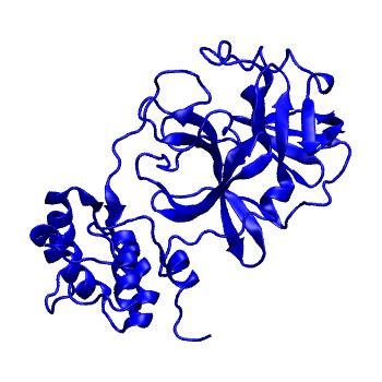 Structure preview of Folding@home molecular dynamics simulations of Diamond Light Source / XChem X-ray structures of small molecule inhibitors of the SARS-CoV-2 main protease from the COVID Moonshot; project 13432, run 303