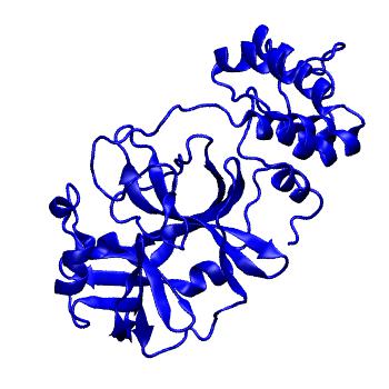 Structure preview of Folding@home molecular dynamics simulations of Diamond Light Source / XChem X-ray structures of small molecule inhibitors of the SARS-CoV-2 main protease from the COVID Moonshot; project 13432, run 308