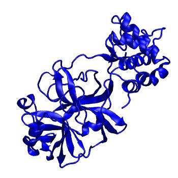 Structure preview of Folding@home molecular dynamics simulations of Diamond Light Source / XChem X-ray structures of small molecule inhibitors of the SARS-CoV-2 main protease from the COVID Moonshot; project 13432, run 309