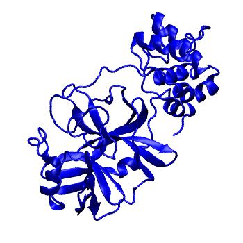 Structure preview of Folding@home molecular dynamics simulations of Diamond Light Source / XChem X-ray structures of small molecule inhibitors of the SARS-CoV-2 main protease from the COVID Moonshot; project 13432, run 310