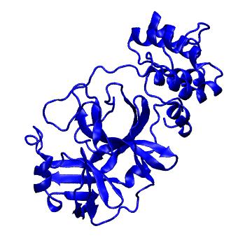 Structure preview of Folding@home molecular dynamics simulations of Diamond Light Source / XChem X-ray structures of small molecule inhibitors of the SARS-CoV-2 main protease from the COVID Moonshot; project 13432, run 312