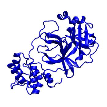 Structure preview of Folding@home molecular dynamics simulations of Diamond Light Source / XChem X-ray structures of small molecule inhibitors of the SARS-CoV-2 main protease from the COVID Moonshot; project 13432, run 320
