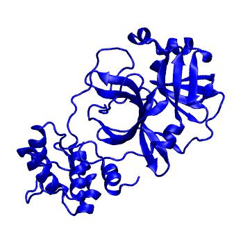 Structure preview of Folding@home molecular dynamics simulations of Diamond Light Source / XChem X-ray structures of small molecule inhibitors of the SARS-CoV-2 main protease from the COVID Moonshot; project 13432, run 326