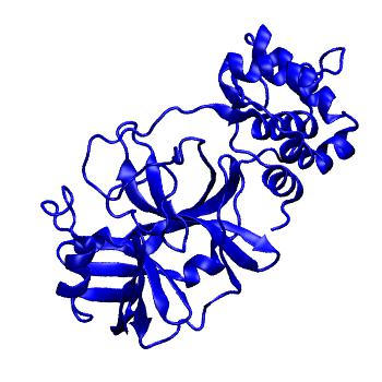 Structure preview of Folding@home molecular dynamics simulations of Diamond Light Source / XChem X-ray structures of small molecule inhibitors of the SARS-CoV-2 main protease from the COVID Moonshot; project 13432, run 329