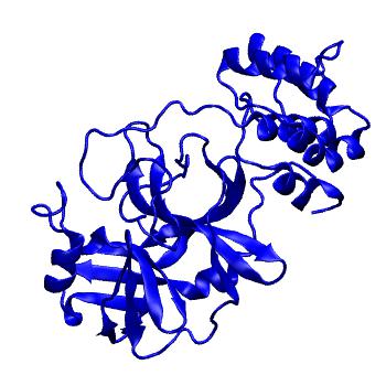 Structure preview of Folding@home molecular dynamics simulations of Diamond Light Source / XChem X-ray structures of small molecule inhibitors of the SARS-CoV-2 main protease from the COVID Moonshot; project 13432, run 32
