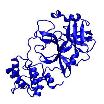 Structure preview of Folding@home molecular dynamics simulations of Diamond Light Source / XChem X-ray structures of small molecule inhibitors of the SARS-CoV-2 main protease from the COVID Moonshot; project 13432, run 331