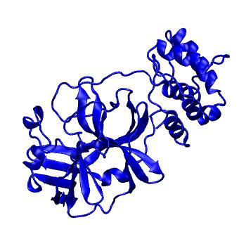 Structure preview of Folding@home molecular dynamics simulations of Diamond Light Source / XChem X-ray structures of small molecule inhibitors of the SARS-CoV-2 main protease from the COVID Moonshot; project 13432, run 332
