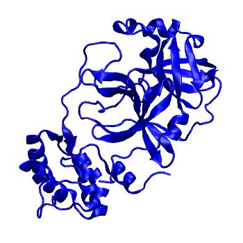 Structure preview of Folding@home molecular dynamics simulations of Diamond Light Source / XChem X-ray structures of small molecule inhibitors of the SARS-CoV-2 main protease from the COVID Moonshot; project 13432, run 333