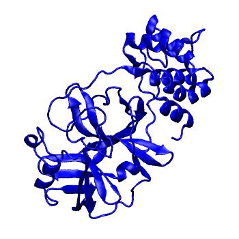 Structure preview of Folding@home molecular dynamics simulations of Diamond Light Source / XChem X-ray structures of small molecule inhibitors of the SARS-CoV-2 main protease from the COVID Moonshot; project 13432, run 336