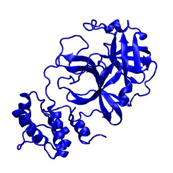 Structure preview of Folding@home molecular dynamics simulations of Diamond Light Source / XChem X-ray structures of small molecule inhibitors of the SARS-CoV-2 main protease from the COVID Moonshot; project 13432, run 337