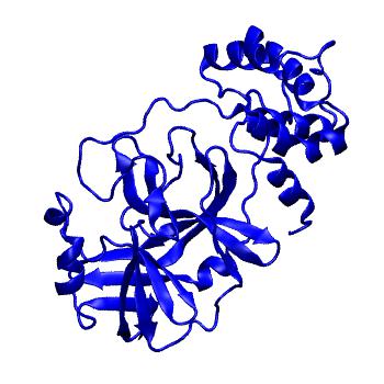 Structure preview of Folding@home molecular dynamics simulations of Diamond Light Source / XChem X-ray structures of small molecule inhibitors of the SARS-CoV-2 main protease from the COVID Moonshot; project 13432, run 339