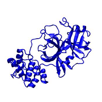 Structure preview of Folding@home molecular dynamics simulations of Diamond Light Source / XChem X-ray structures of small molecule inhibitors of the SARS-CoV-2 main protease from the COVID Moonshot; project 13432, run 33
