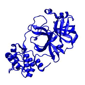 Structure preview of Folding@home molecular dynamics simulations of Diamond Light Source / XChem X-ray structures of small molecule inhibitors of the SARS-CoV-2 main protease from the COVID Moonshot; project 13432, run 340
