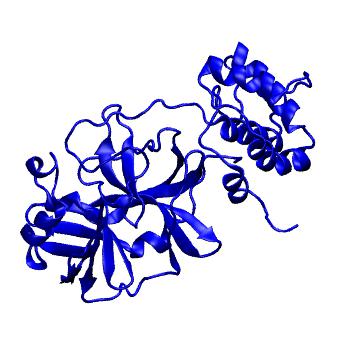 Structure preview of Folding@home molecular dynamics simulations of Diamond Light Source / XChem X-ray structures of small molecule inhibitors of the SARS-CoV-2 main protease from the COVID Moonshot; project 13432, run 343