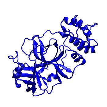 Structure preview of Folding@home molecular dynamics simulations of Diamond Light Source / XChem X-ray structures of small molecule inhibitors of the SARS-CoV-2 main protease from the COVID Moonshot; project 13432, run 344