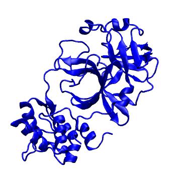 Structure preview of Folding@home molecular dynamics simulations of Diamond Light Source / XChem X-ray structures of small molecule inhibitors of the SARS-CoV-2 main protease from the COVID Moonshot; project 13432, run 345