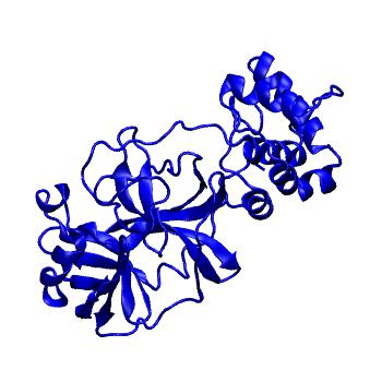 Structure preview of Folding@home molecular dynamics simulations of Diamond Light Source / XChem X-ray structures of small molecule inhibitors of the SARS-CoV-2 main protease from the COVID Moonshot; project 13432, run 347