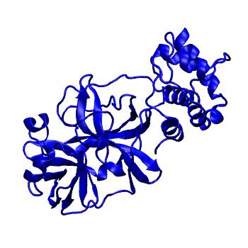 Structure preview of Folding@home molecular dynamics simulations of Diamond Light Source / XChem X-ray structures of small molecule inhibitors of the SARS-CoV-2 main protease from the COVID Moonshot; project 13432, run 34