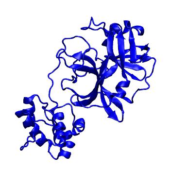 Structure preview of Folding@home molecular dynamics simulations of Diamond Light Source / XChem X-ray structures of small molecule inhibitors of the SARS-CoV-2 main protease from the COVID Moonshot; project 13432, run 350
